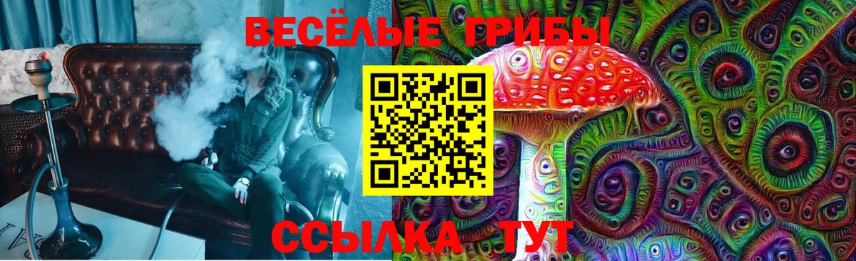 Амурск  Псилоцибиновые грибы Psilocybine cubensis  сколько стоит  Вход с VPN 