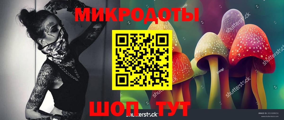 Псилоцибиновые грибы ЛСД Амурск